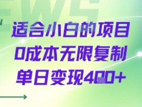 适合小白的项目0成本无限复制单日变现4张+