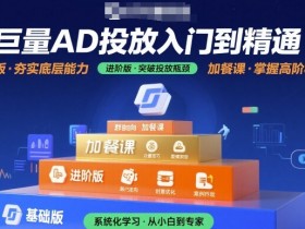 巨量AD投放入门到精通,基础版+进阶版+加餐课
