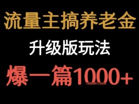 流量主之养老金升级版玩法  爆一篇收益1k+