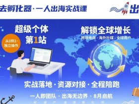 出海去孵化器,一人出海实战课,超级个体第1站,解锁全球增长