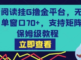 最新阅读挂G撸金平台,无风控,单窗口70+,支持矩阵,保姆级教程【揭秘】