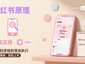 小红书原理以及详细实操流程,小红书电商教程