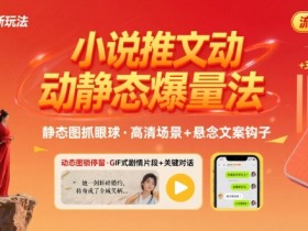 8月小说推文全新玩法,动静态图片+搭配小说文案爆量玩法