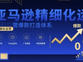 亚马逊精细化运营爆款打造体系,视频课+全套资料文档