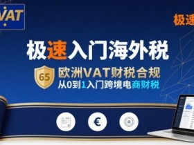 极速入门海外税,欧洲VAT财税合规,从0到1入门跨境电商财税
