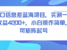风口信息差蓝海项目,实测一天收益4k+,小白操作简单,可矩阵起号