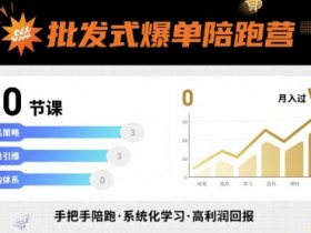 批发式爆单陪跑营,20节课带你实现批发式爆单,带你经松月入过W