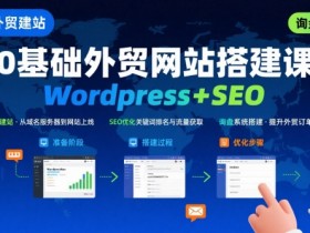 WordPress外贸建站+SEO优化课程,手把手教你从0到1搭建可获得询盘的外贸网站