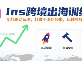 Ins跨境出海训练营,实战驱动玩法,打破不涨粉怪象,玩转社媒自然流量