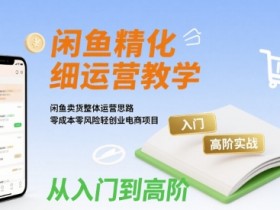 闲鱼精细化运营入门+高阶实战教学,闲鱼卖货整体运营思路,零成本零风险轻创业电商项目