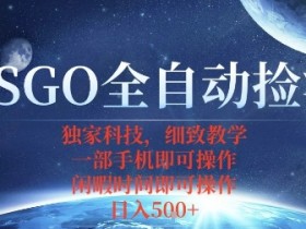 CSGO自动捡漏项目,最新独家玩法,一个手机即可操作,新手小白轻松月入1W+,操作简单易上手【揭秘】
