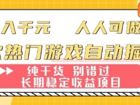 两款热门游戏自动掘金:日入1k,人人可做,纯干货,长期稳定收益项目【揭秘】