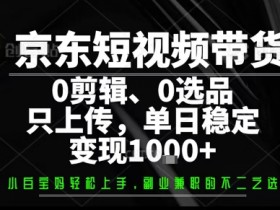 你出账号,我来运营,保底日入1k+,开启躺賺模式【揭秘】
