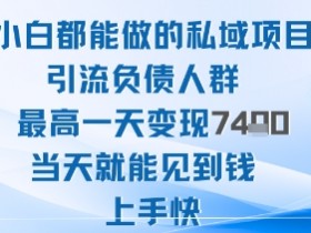 2025年小白都能做的私域项目引流负债人群最高一天变现1k+高变现难度低当天就能见到钱上手快