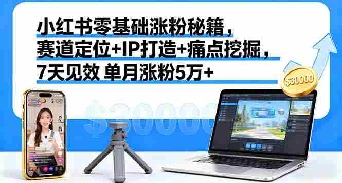 (16158期)小红书零基础涨粉秘籍,赛道定位+IP打造+痛点挖掘,7天见效 单月涨粉5万+