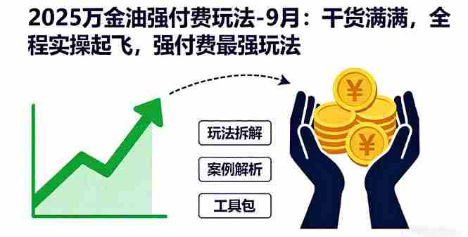 (16202期)2025万金油强付费玩法-9月:干货满满,全程实操起飞,强付费最强玩法
