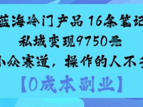 蓝海冷门产品:16条笔记私域变现9750米小众赛道,操作的人不多