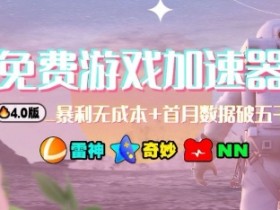 游戏加速器项目4.0_最新打法思路(爱玩游戏也能边玩边被动收益)