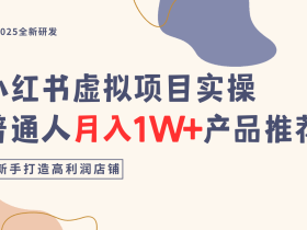 小红书虚拟项目实操指南,普通人月入1W+产品推荐,直接抄