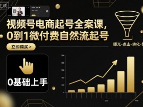 视频号电商起号全案课,0到1微付费自然流起号