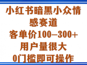 小红书暗黑小众情感赛道,客单价100-300+用户量很大,0门槛即可操作
