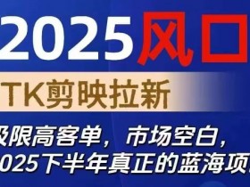 2025风口TK剪映capcut拉新项目,极限高客单,市场空白,2025下半年真正的蓝海项目