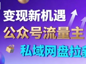 公众号流量主+私域网盘拉新,多方式变现,简单易上手,当天就有收益