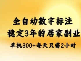全自动数字标注,稳定3年的蓝海项目,居家也能矩阵开干的副业,单机日入3张+【揭秘】