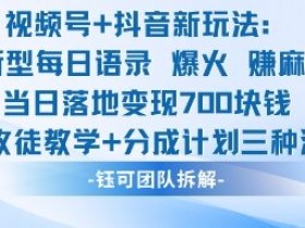 视频号加抖音新玩法:爆火新型每日语录,收徒教学加分成计划,三种变现玩法,当日变现7张