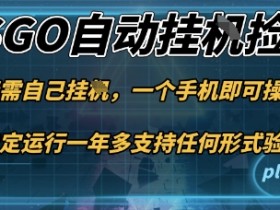 游戏自动挂G捡漏,一个手机即可操作,当天可操作见到结果,新手小白轻松月入1W+【揭秘】