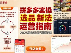 王校长9月12拼多多实操新玩法,全链路涵盖从店铺选品、找对标,布局链接,推广玩法等多维度运营思路(更新)