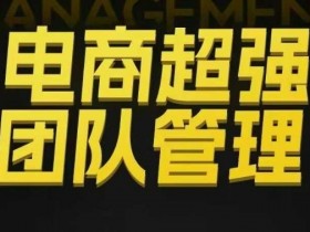 电商超强团队管理,组织绩效,到用人执行,分权合伙