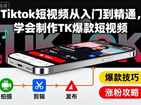 Tiktok短视频从入门到精通,学会制作TK爆款短视频