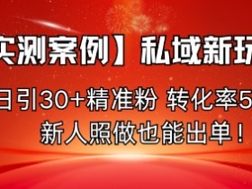 【实测案例】私域新玩法,日引30+精准粉,转化率50%,新人照做也能出单!