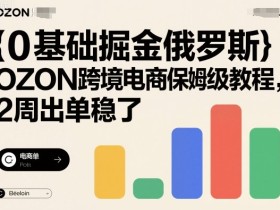 0基础掘金俄罗斯,OZON跨境电商保姆级教程,2周出单稳了