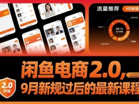 闲鱼电商2.0,9月新规过后的最新课程
