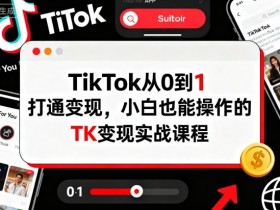 TikTok从0到1打通变现,小白也能操作的TK变现实战课程