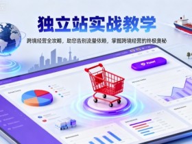 独立站实战教学,跨境经营全攻略,助您告别流量依赖,掌握跨境经营的终极奥