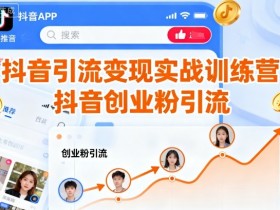 抖音引流变现实战训练营,抖音创业粉引流