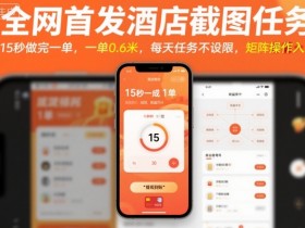 全网首发酒店截图任务,15秒做完一单,一单0.6米,每天任务不设限,矩阵操作日入3张【揭秘】