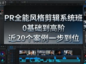PR全能风格剪辑系统班,0基础到高阶,近20个案例一步到位