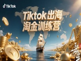 Tiktok出海淘金训练营,跨境电商TK实战变现