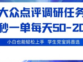 大众点评调研,电脑任务,2秒一单每天50-2张,学生党宝妈首选【揭秘】