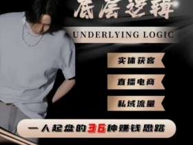 一个人起盘的底层逻辑,私域流量-直播电商-实体获客,一人起盘的36种賺钱思路