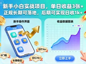 新手小白实战项目,单日收益3张+,正规长期可落地,后期可实现日收1k+【揭秘】