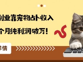 从兴趣到副业靠宠物占卜收入翻3倍一个月纯利润破W