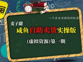 麦子甜咸鱼自助卖货实操版(虚拟资源)一个会自动搞钱的机器