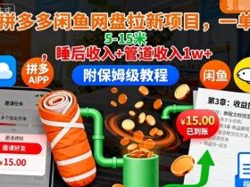 拼多多闲鱼网盘拉新项目,一单5-15米,睡后收入+管道收入1w+(附保姆级教程)