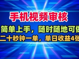 手机视频审核,随时随地可做,二十秒钟一单,单日收益4张+【揭秘】