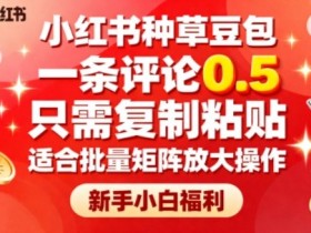 小红书种草豆包,一条评论0.5,只需复制粘贴,适合批量矩阵放大操作,新手小白福利